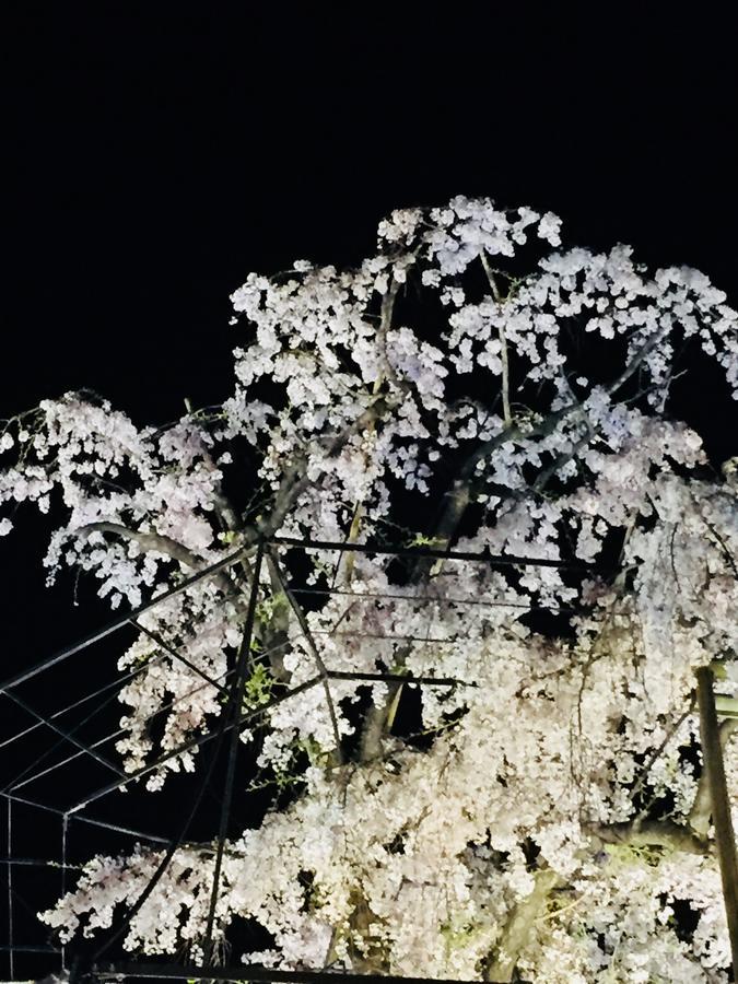 Gallery Nozawa Inn Кіото Екстер'єр фото